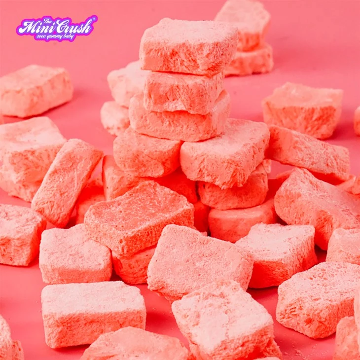 Freeze-Dried Strawberry Ice Cream factory Freeze-Dried Strawberry Ice Cream factory